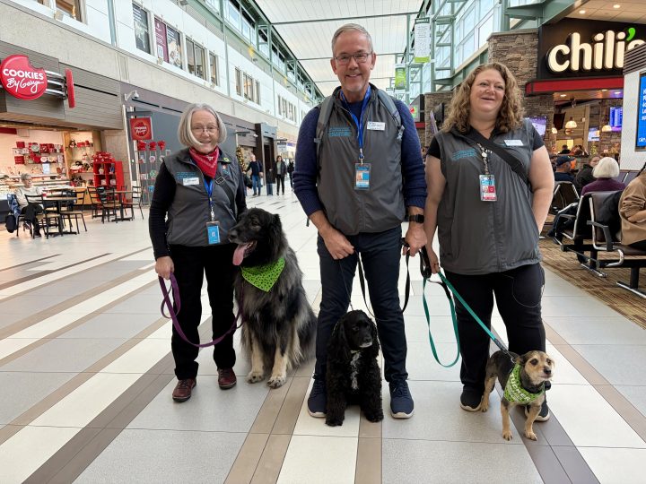 Some of the volunteers with the Pet Therapy Society of Northern Alberta at the Edmonton International Airport in December 2025.