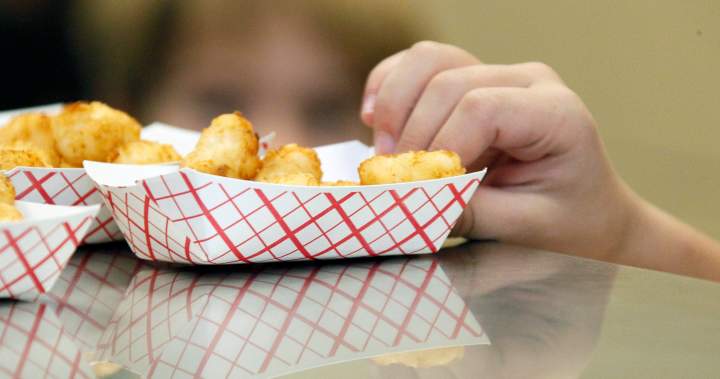 McCain Tasti Taters recalled in Canada due to plastic pieces