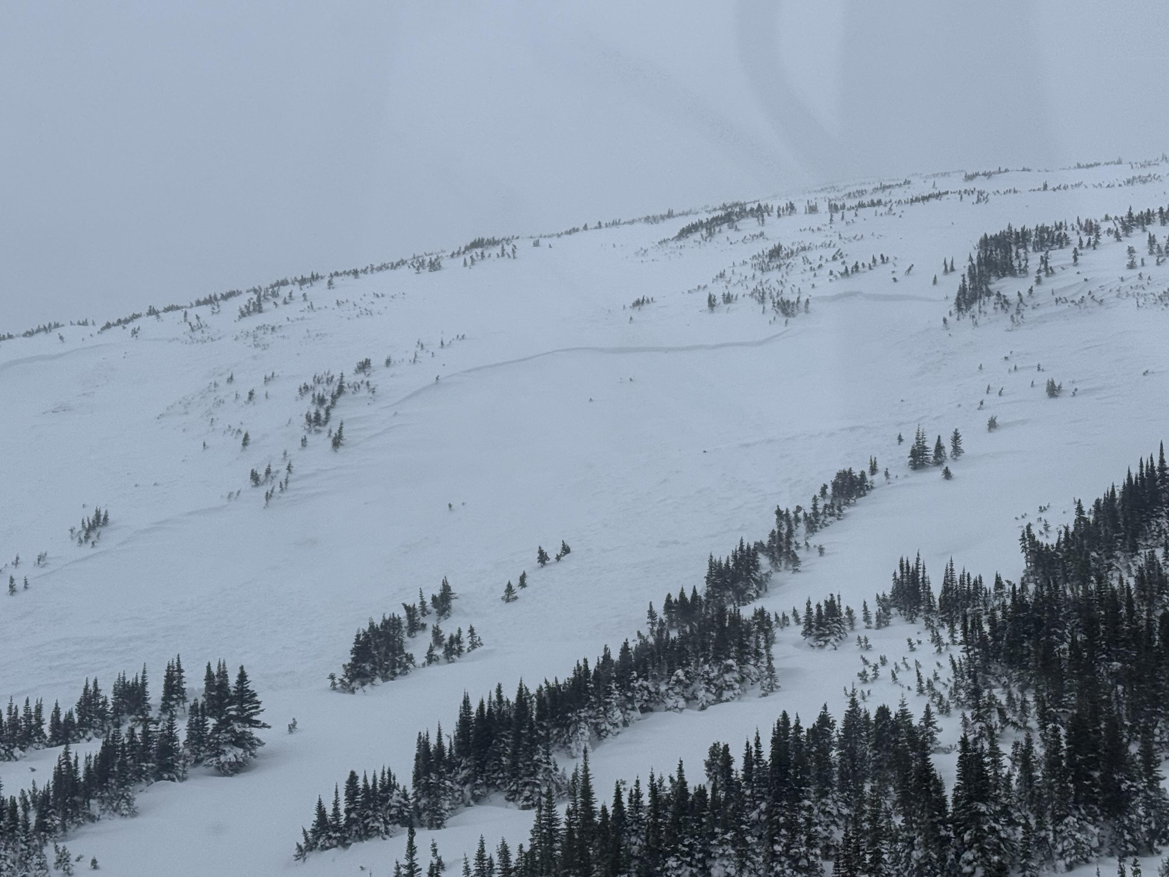 Моторна шейна загина след като беше затрупана от лавина в
