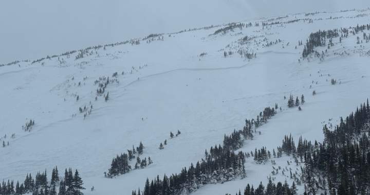 Snowmobiler dies in avalanche in Rocky Mountains in northeastern B.C. Snowmobiler dies in avalanche in Rocky Mountains in northeastern B.C.
