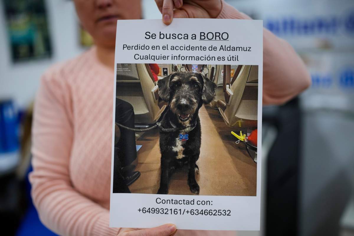 A woman holds a sign reading in Spanish, "Missing Boro. Lost during the Adamuz accident. Any information is helpful," about a dog that went missing during a train crash in Adamuz, southern Spain, Wednesday, Jan. 21, 2026.
