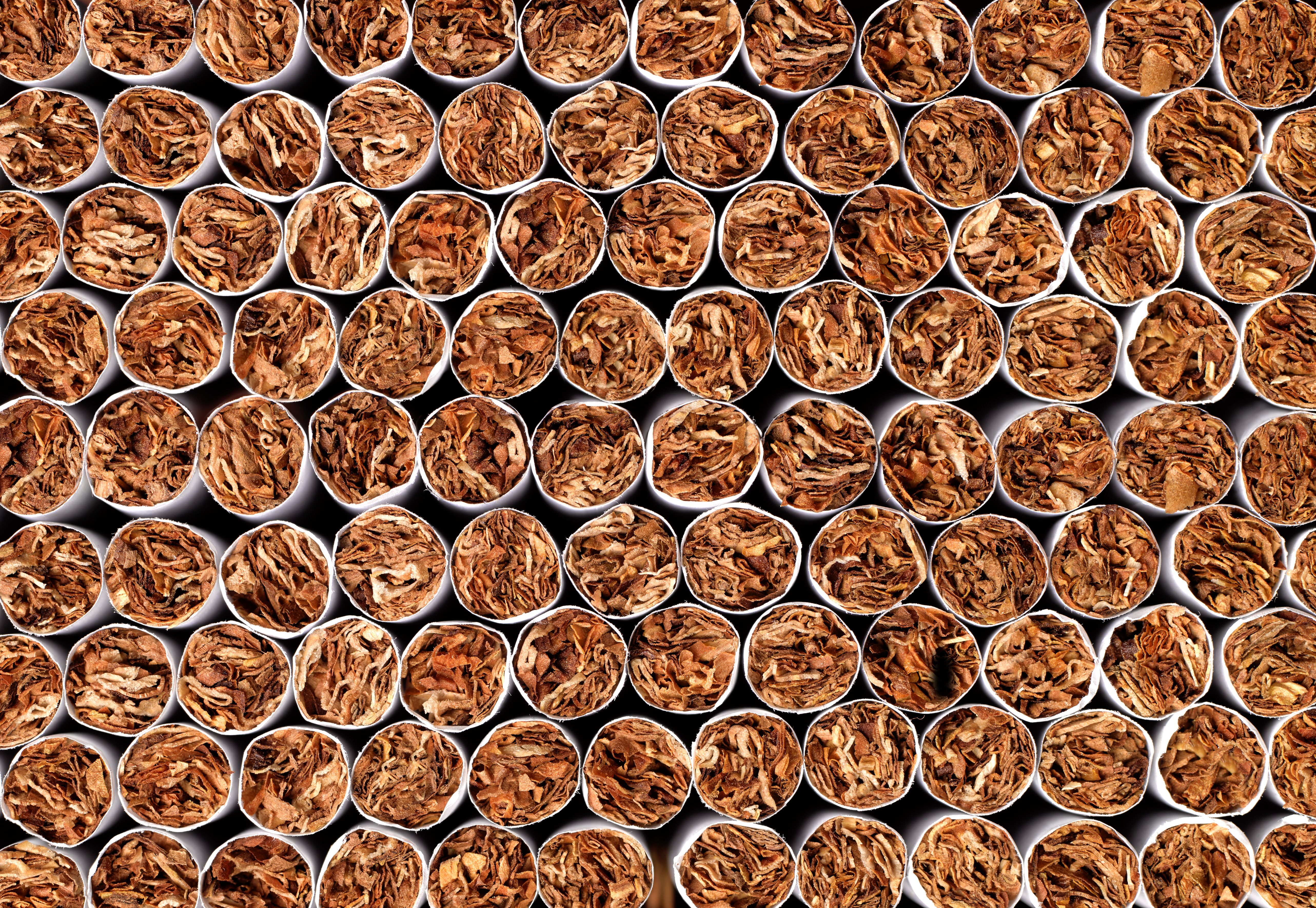 Саскачеван RCMP казва че милиони незаконни цигари са били конфискувани