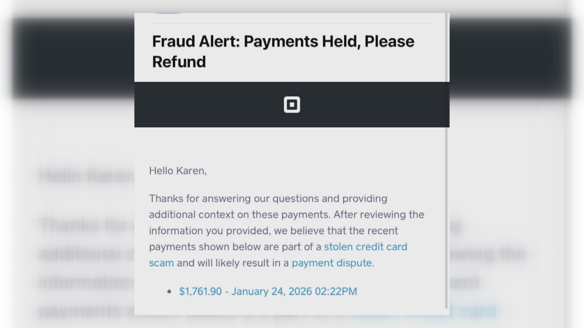 Fraud Alert Message