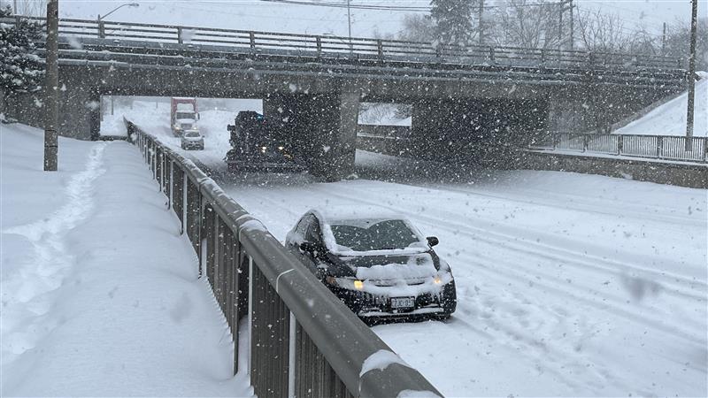 Toronto-area gets slammed with major snowstorm, weather alert upgraded - image