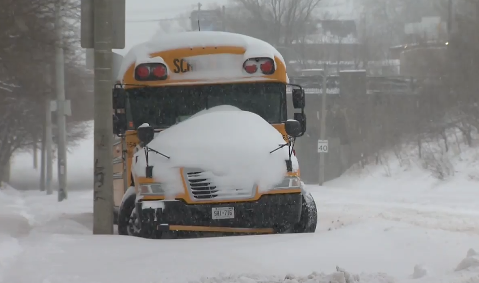 Seven snow days in three weeks have Kingston parents scrambling. Experts explain your rights if you have to miss work for childcare when buses are cancelled.