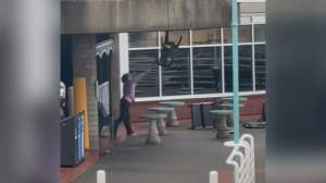 Footage taken outside the cafe in Nanaimo.