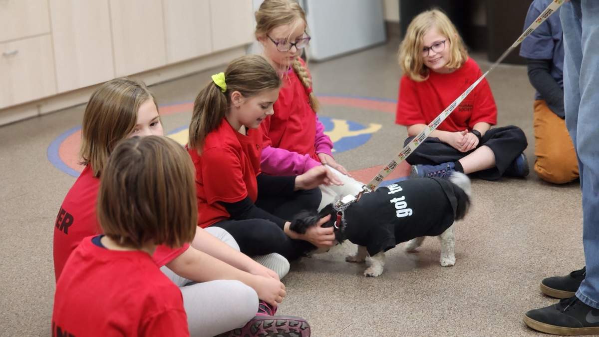 Spring Bark Kids Camp - image