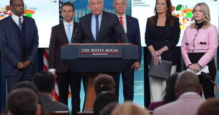 Meat, cheese and whole grains: What new U.S. food guide wants Americans to eat Meat, cheese and whole grains: What new U.S. food guide wants Americans to eat