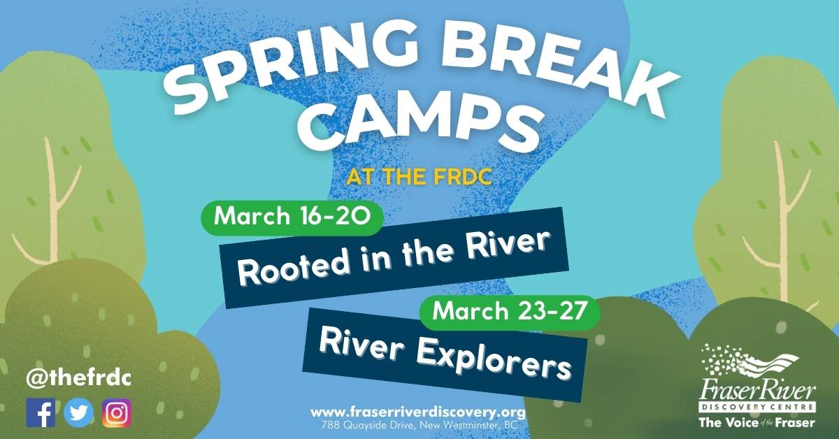 Spring Break Camps - image
