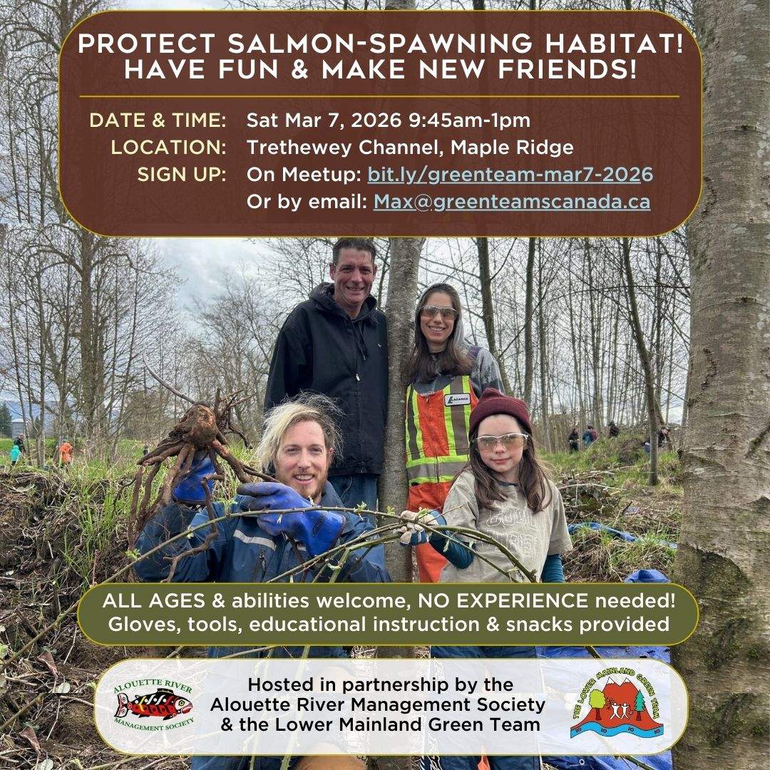 Restore Salmon Habitat @ Trethewey Channel, Maple Ridge! Mountain Views! - image