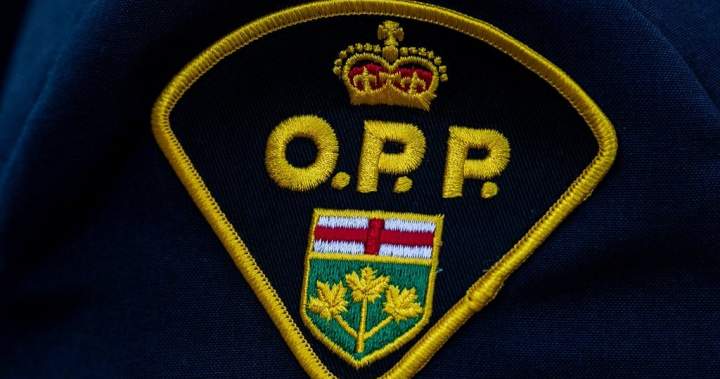 Pedestrian killed on Highway 401; OPP investigating Pedestrian killed on Highway 401; OPP investigating