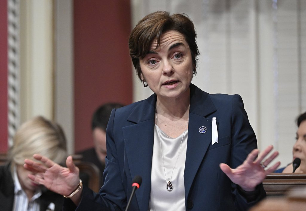 Поглед към някои потенциални кандидати за ръководството на Coalition Avenir Québec