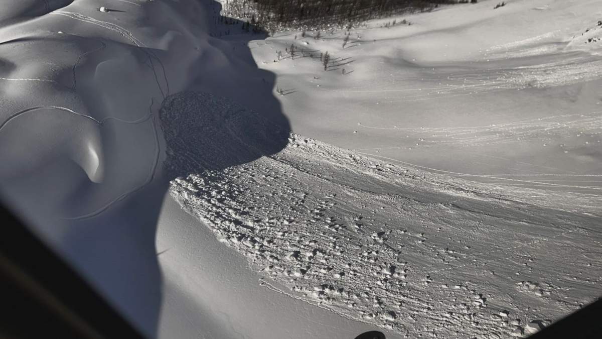 Snow has settled after an avalanche near Lake Louise in Banff National Park. Parks Canada says a skier triggered it while going down a slope.
