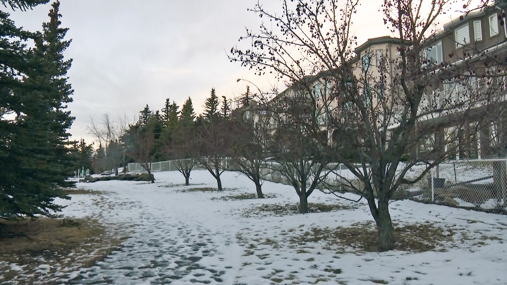 Полицията в Калгари отправя молба към обществеността за информация която