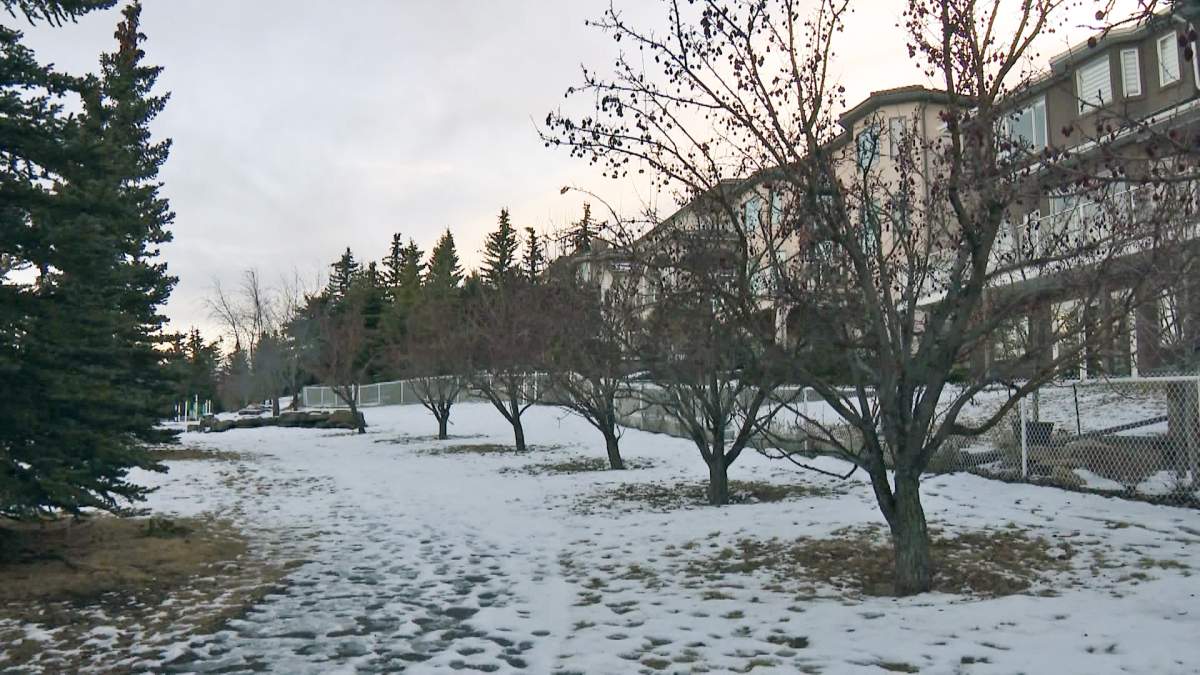 Calgary police are asking for the public's help solving a series of residential break-ins targeting homes backing onto greenspaces.