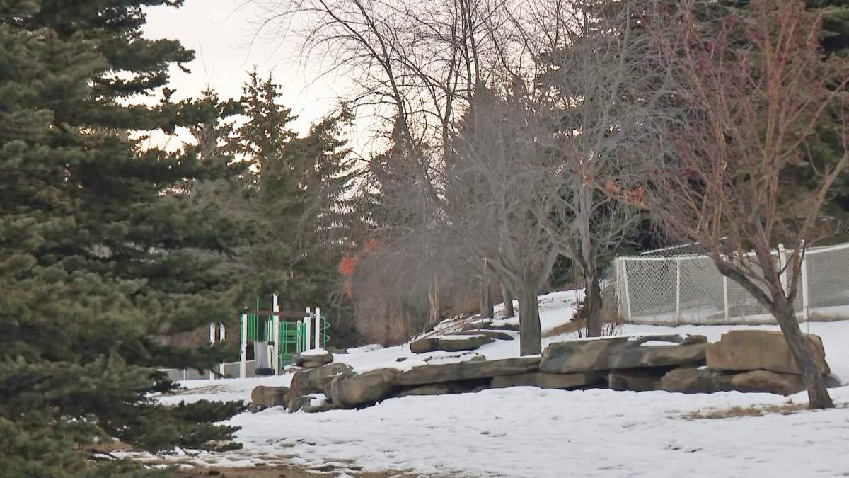 Calgary police say the homes that were targeted backed onto golf courses, parks, ravines or other types of greenspaces.