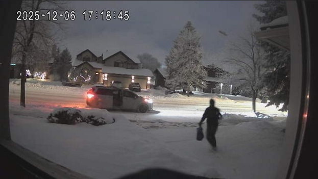 Calgary police investigate break and enters involving travelling crime  groups | Globalnews.ca