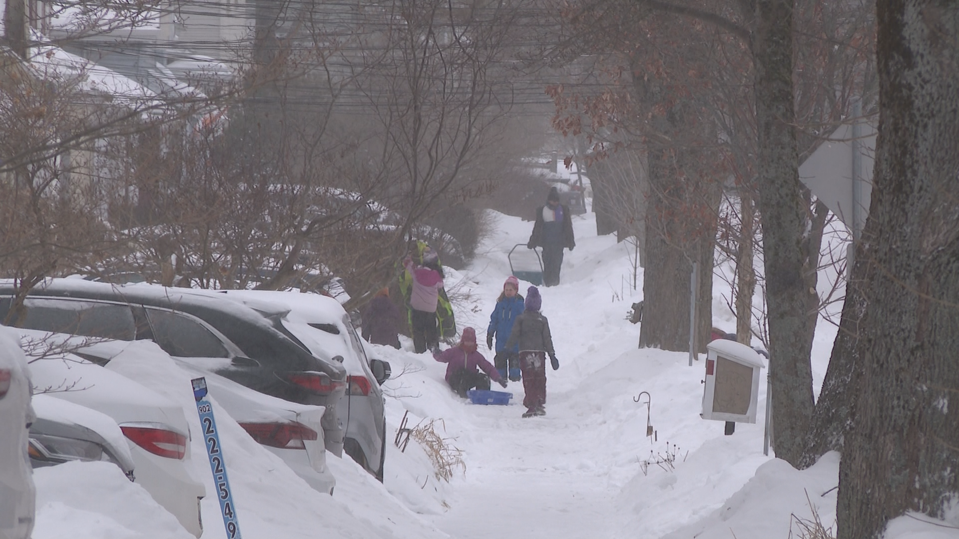 Heavy snow, extreme cold and gusty winds caused school closures and many delays and cancellations in Nova Scotia and New Brunswick on Jan. 26, 2026.