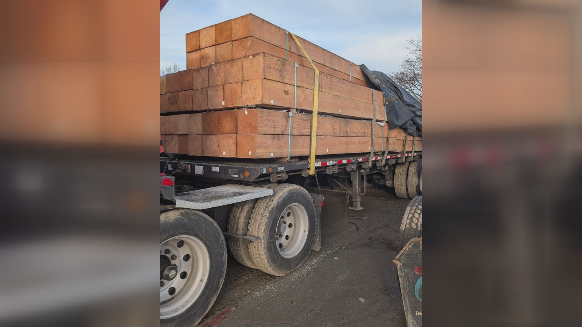 Липсва ли ви товар дървен материал Това е въпросът който