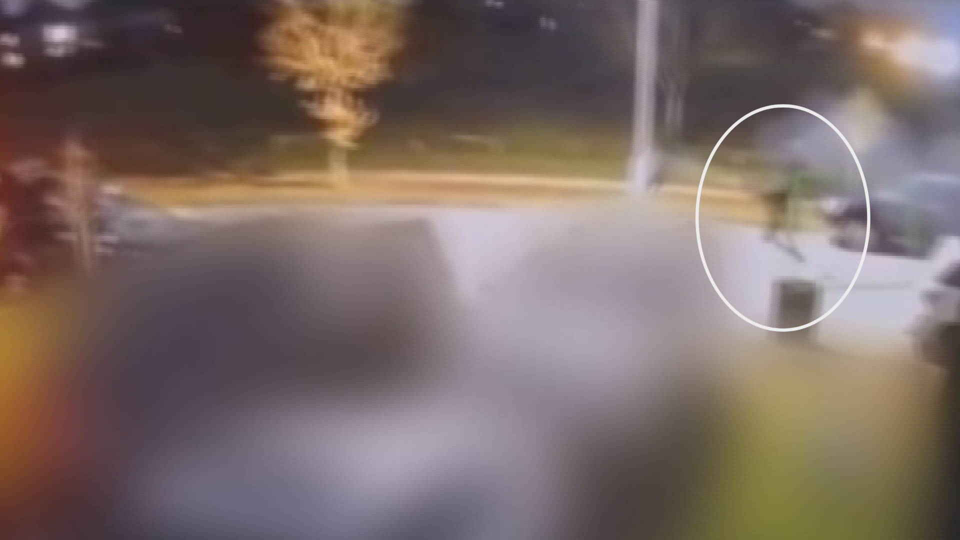 ‘It’s two worlds’: Bizarre Surrey shooting incident caught on video