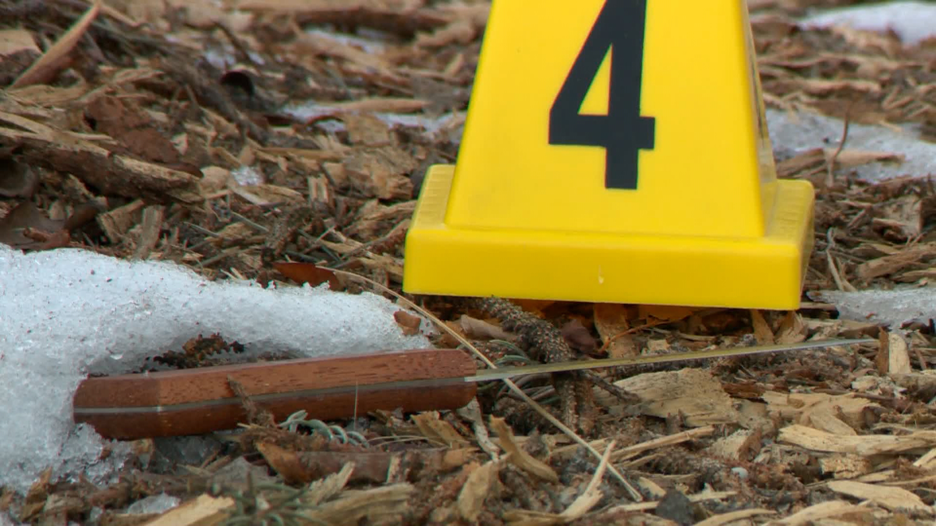 Полицията в Калгари разследва намушкване с нож пред югозападната гимназия