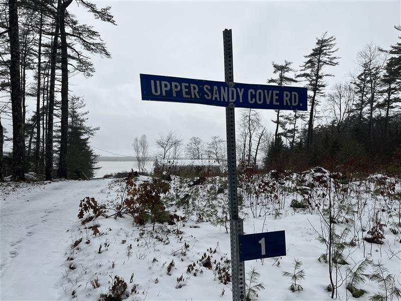 Calls grow for stronger animal ownership laws in N.S. after deadly dog attack