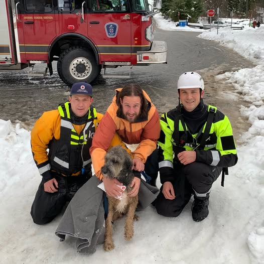Куче спасено в Уислър, Британска Колумбия след падане през езерен лед