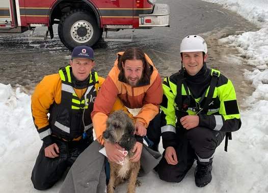 Dog rescued in Whistler, B.C. after falling through lake ice Dog rescued in Whistler, B.C. after falling through lake ice