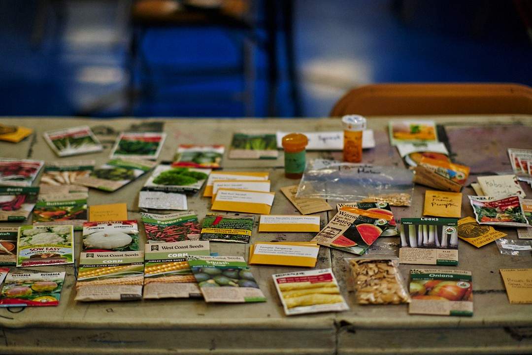 East Vancouver Seedy Saturday - image