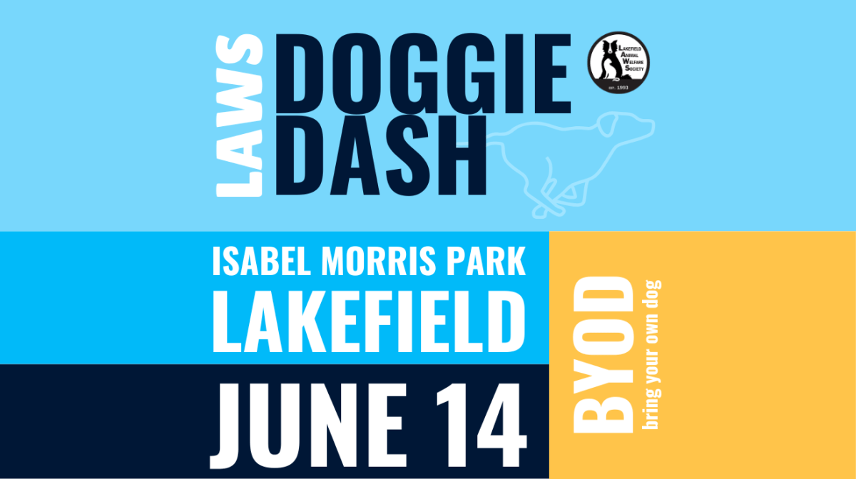 LAWS Doggie Dash - image