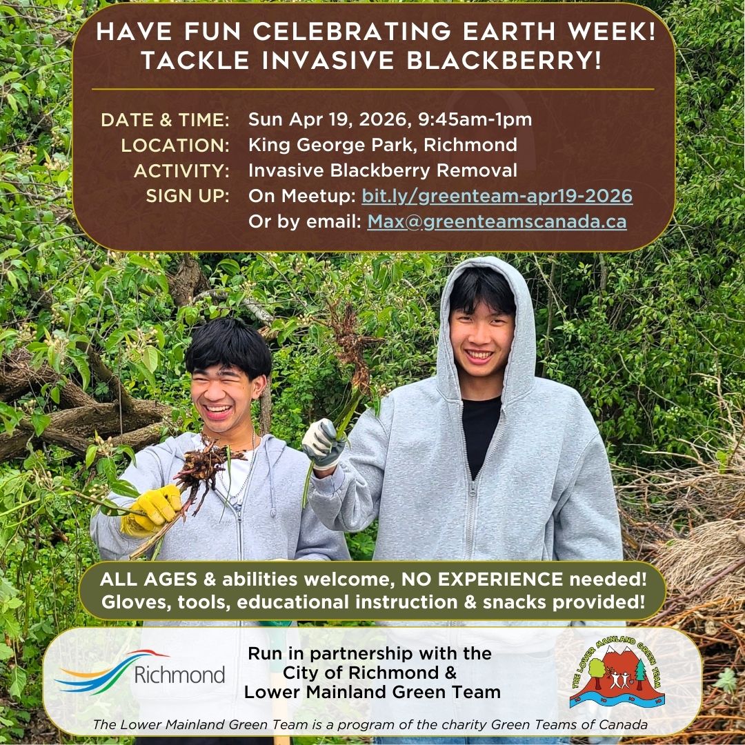 EARTH WEEK! Remove Invasive Blackberry at King George Park, Richmond! - image