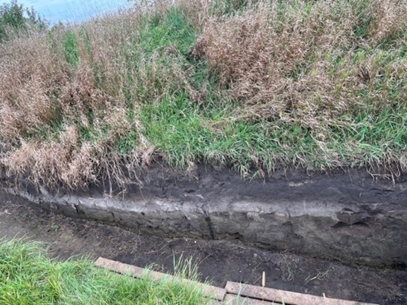 The Soil: How is it Doing? - image