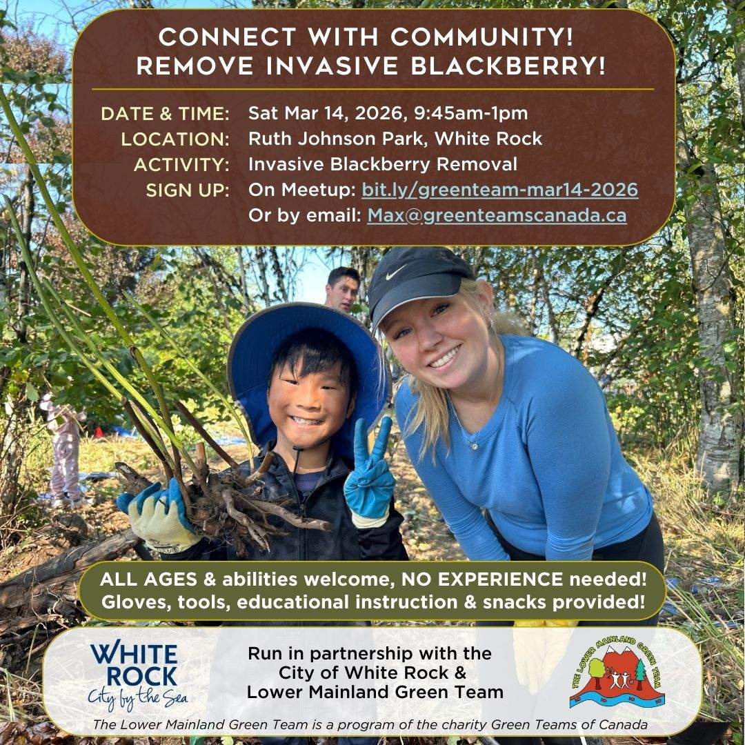 Make Friends & Remove Invasive Blackberry @ Ruth Johnson Park, White Rock! - image