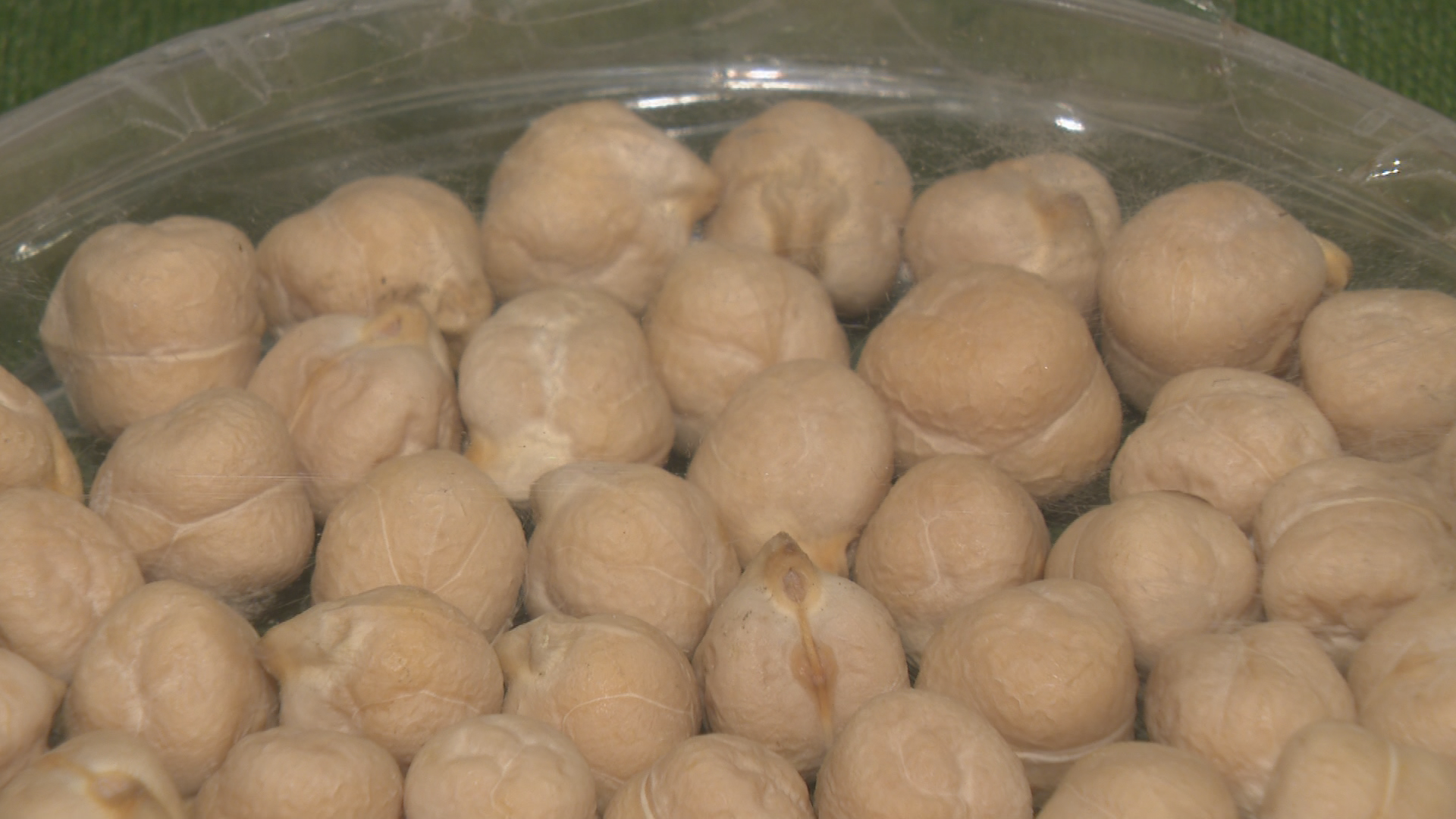 Dried chickpeas in a dish.