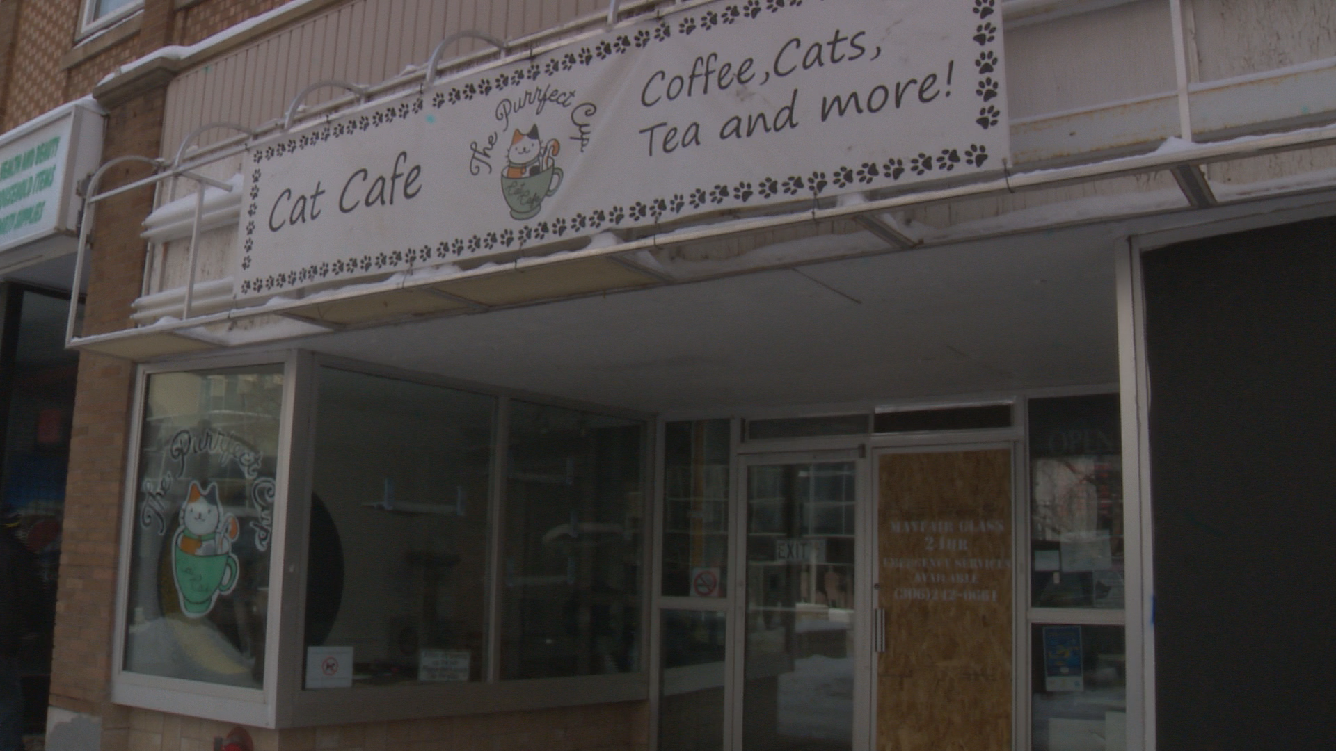 The Purrfect Cup Cat Cafe de Saskatoon vê outro ato de vandalismo – Saskatoon The Purrfect Cup Cat Cafe de Saskatoon vê outro ato de vandalismo – Saskatoon