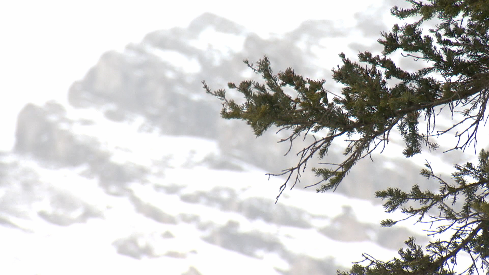 2 skiers caught in avalanche in Kananaskis Country, west of Calgary