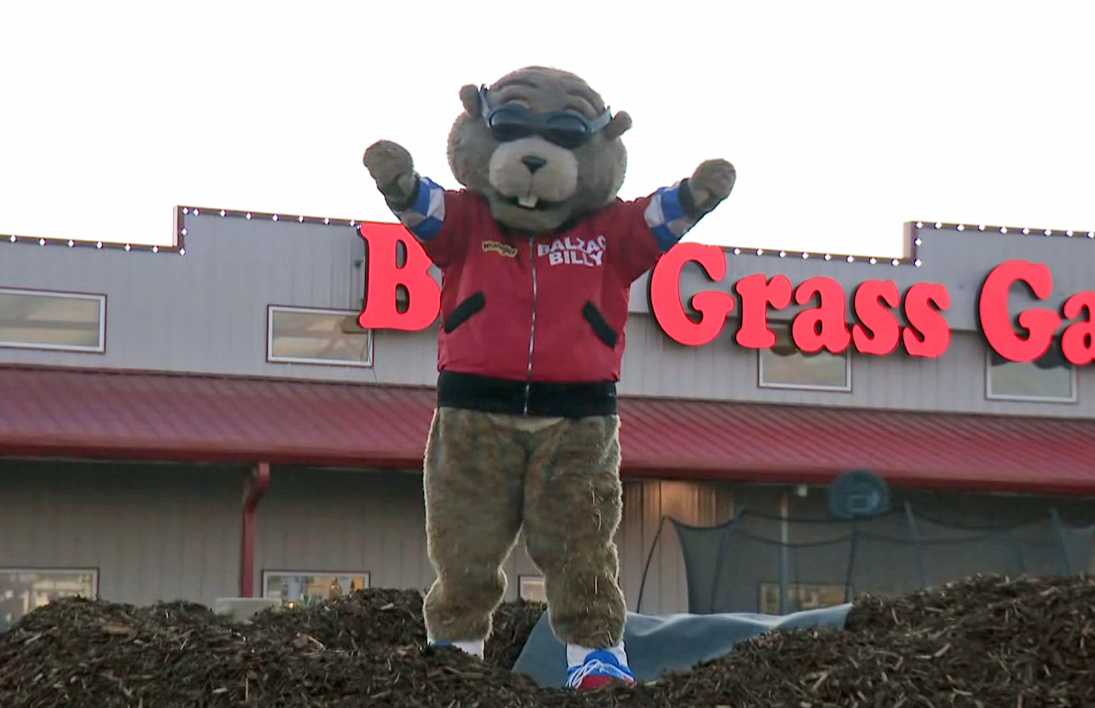 фев 2 отбелязва Деня на мармота — денят в който