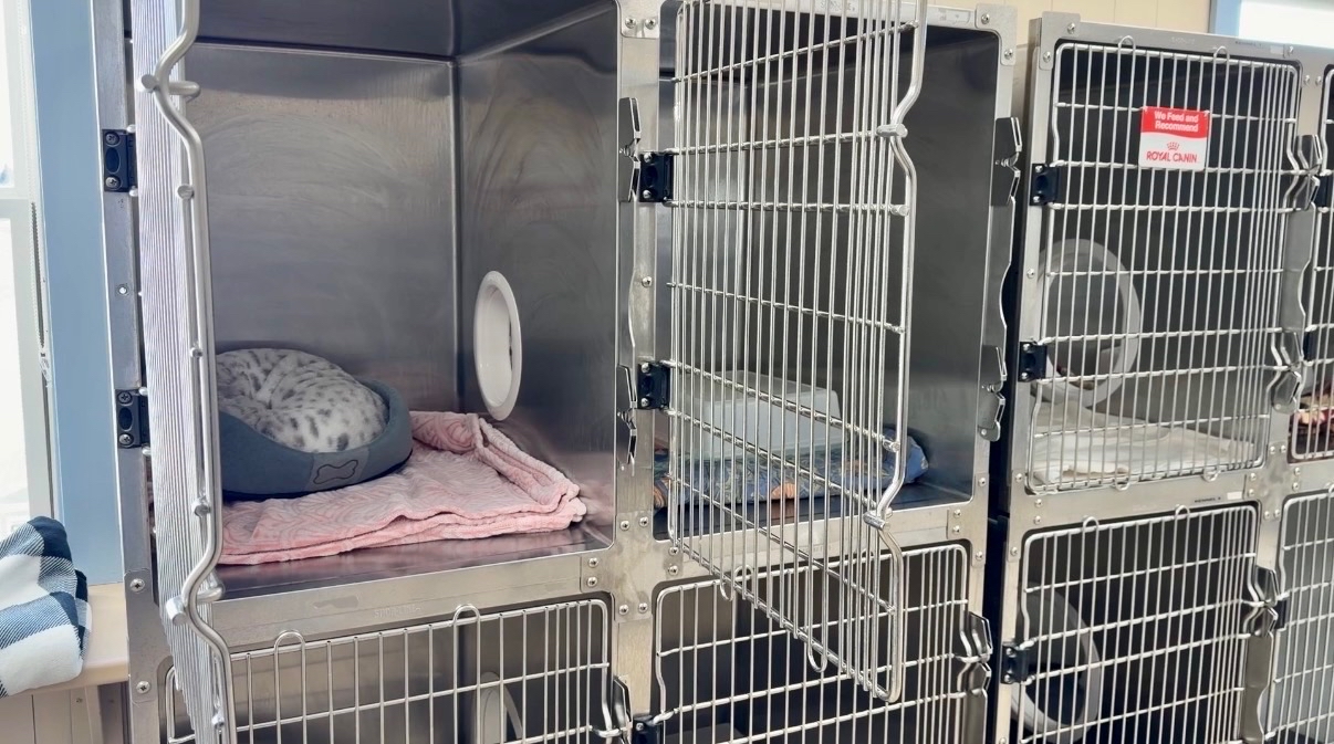 Приют за животни в района на Халифакс отчита рекордни проценти