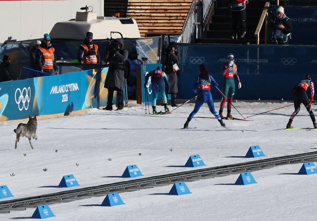 Неочакван състезател се присъедини към курса по ски бягане на