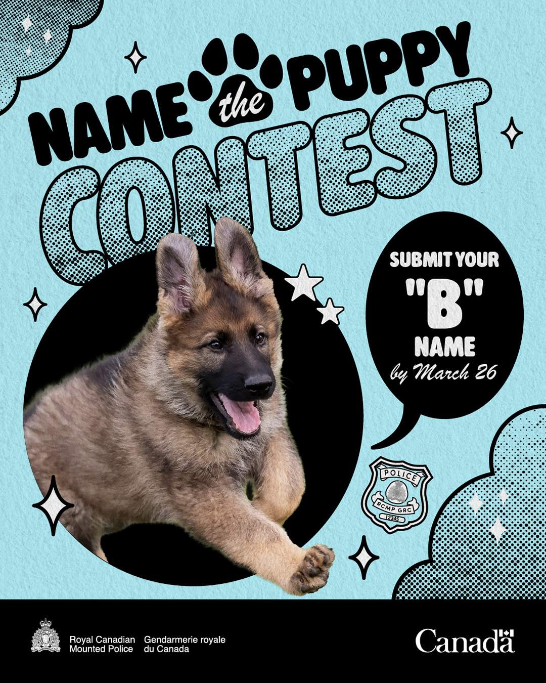 13 soon-to-be-born puppies at the RCMP Police Dog Service Training Centre in Innisfail, Alta., need names and this year they must begin with a "B."