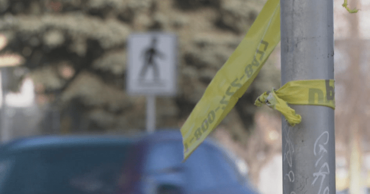 Кметът на Калгари иска забраната за фоторадар да бъде преразгледана след неотдавнашни смъртни случаи в пътнотранспортно произшествие