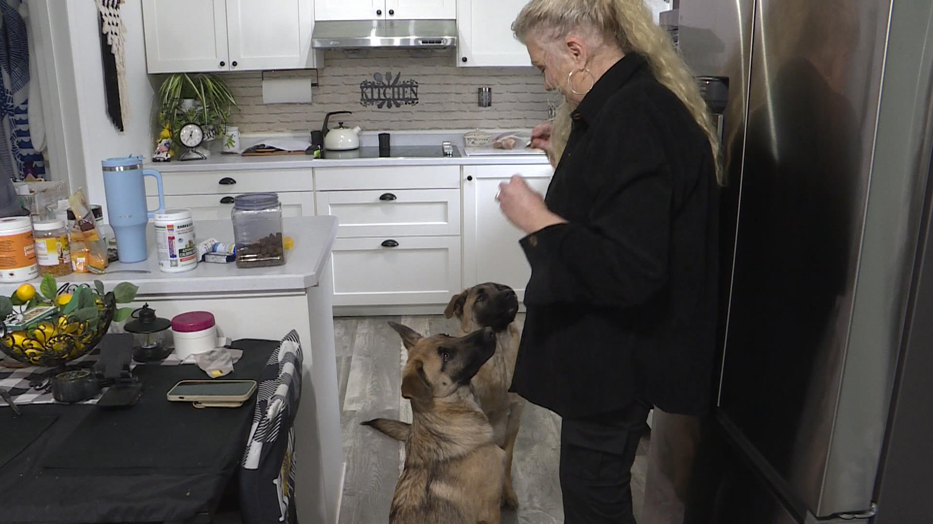 От грижата за кученцата и миенето на подовете до ходенето