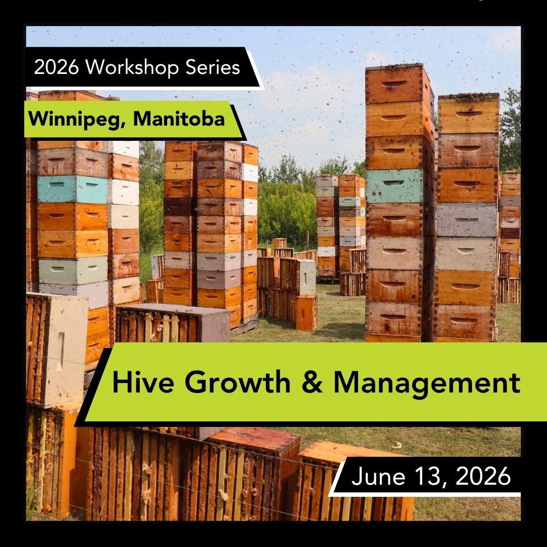 Hive Growth & Management Workshop - image