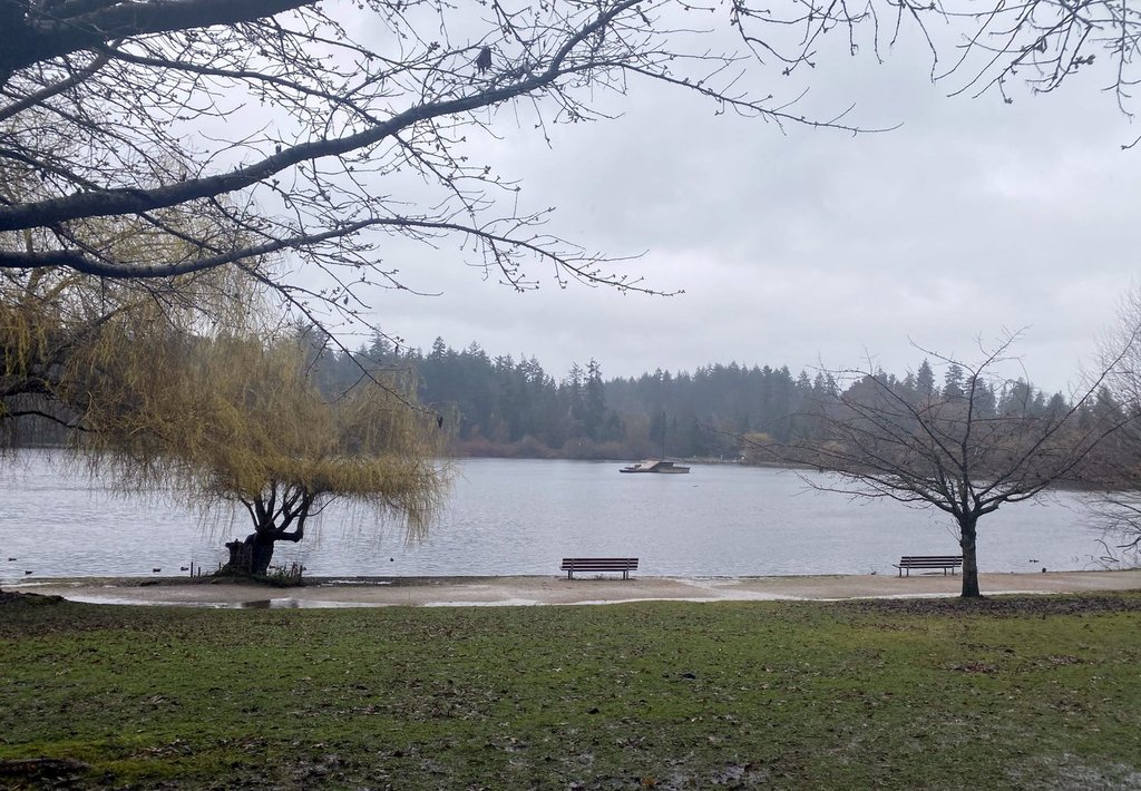 Vancouver Park Board asks for ‘historic’ $1.35 billion investment from city