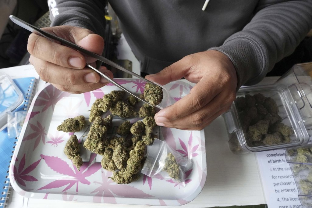 Case of Mi’kmaq man facing cannabis charges moves to constitutional challenge in N.S.
