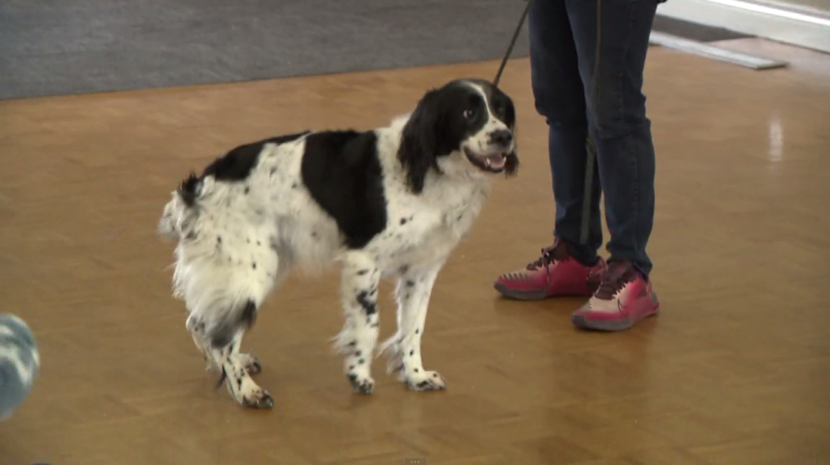 Angus is pictured on Sunday, March 29, 2026 at the retirement party held honouring his decade of service.