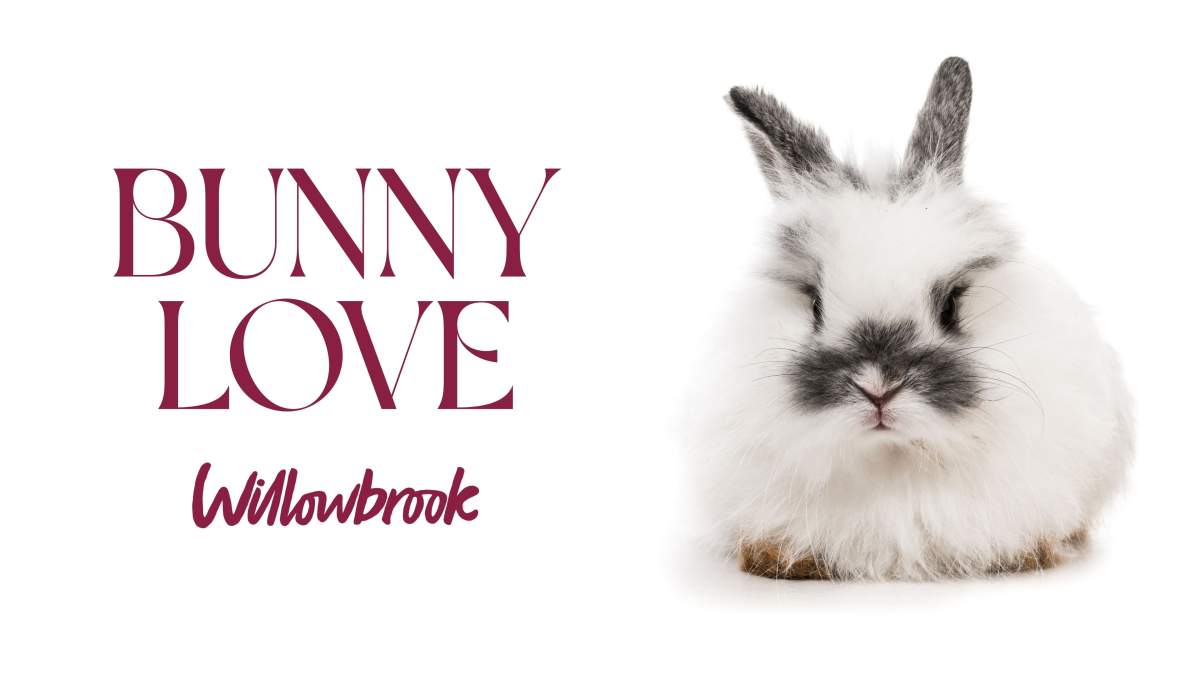 Bunny Love Easter Celebration at Willowbrook - image
