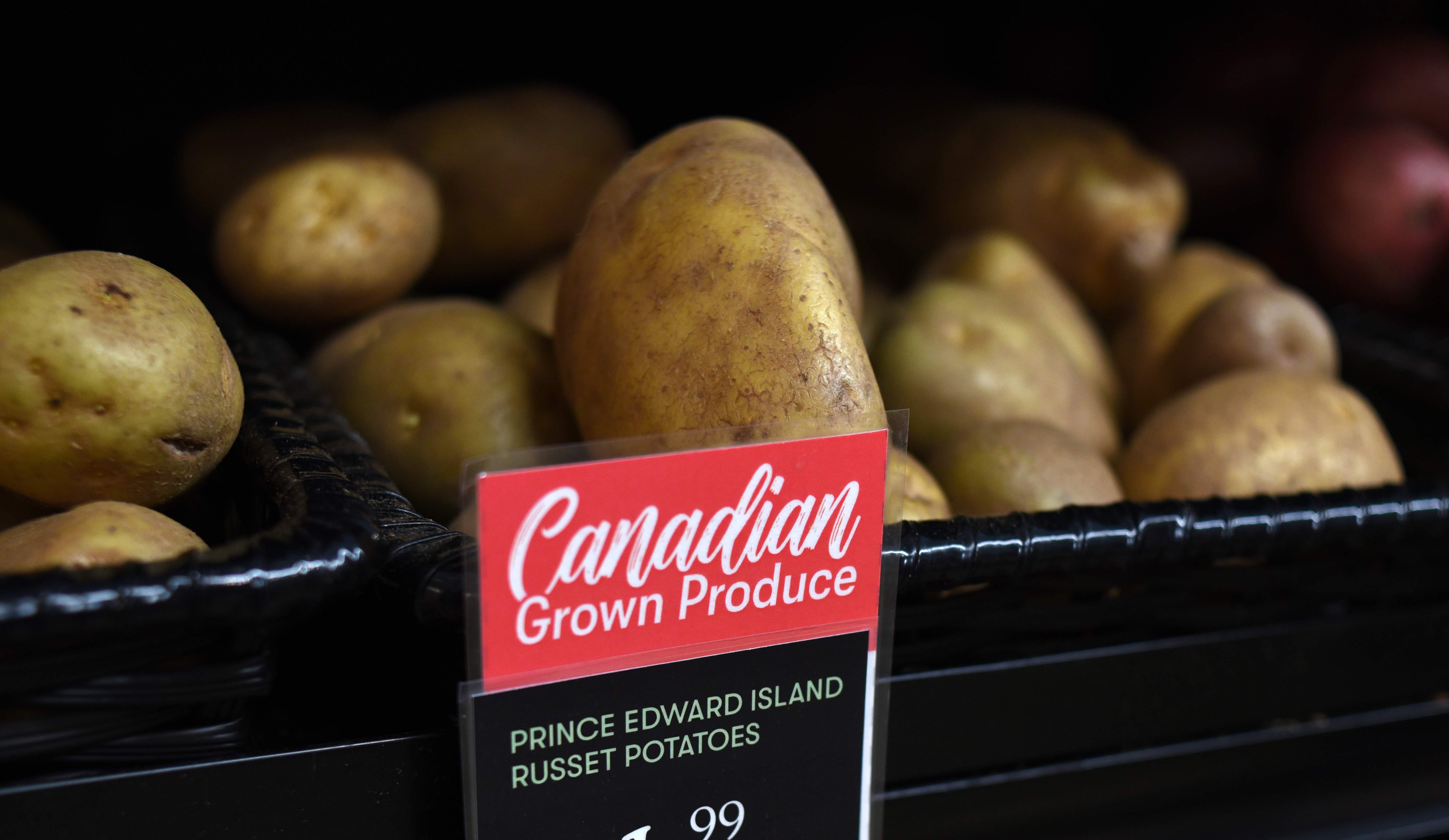 The Mexican Potato Myth and Why Canada is Chasing a Ghost Market