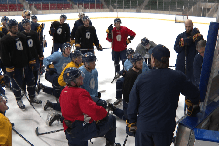 Queen’s Gaels se preparam para o confronto crucial de hóquei pela medalha de bronze da OUA contra o TMU – Kingston Queen’s Gaels se preparam para o confronto crucial de hóquei pela medalha de bronze da OUA contra o TMU – Kingston