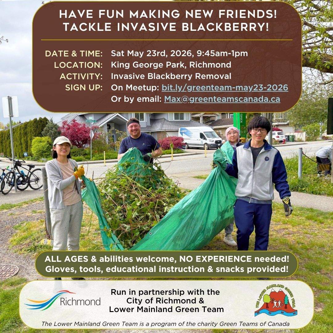 Meet New People & Remove Invasive Blackberry at King George Park, Richmond! Hosted by Max M. - image